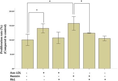 Ginsenoside Rb1 protects human vascular smooth muscle cells against resistin-induced oxidative stress and dysfunction